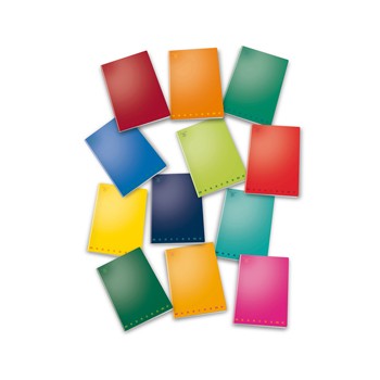 Maxiquaderno a4 40fg+2 80gr bianco monocromo pigna