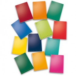 Maxiquaderno a4 40fg+2 80gr bianco monocromo pigna