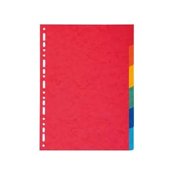Divisori colorati forati in cartoncino per raccoglitore...