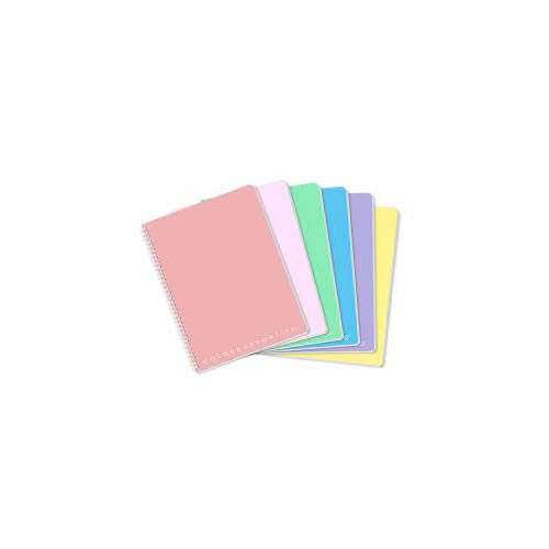 Maxi Quaderno A4 spiralato ppl 1R con fori...